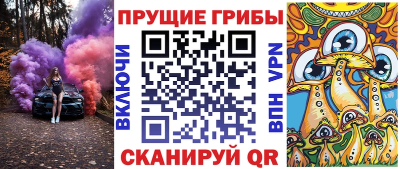 Псилоцибиновые грибы Cubensis  что такое наркотик  Кириши 