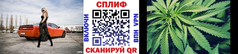 ссылка на мегу как войти  Кириши  Бошки марихуана семена 